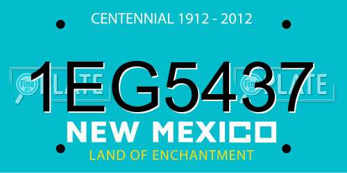 1EG5437 New Mexico License Plate