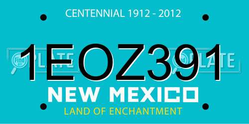 1EOZ391 New Mexico License Plate