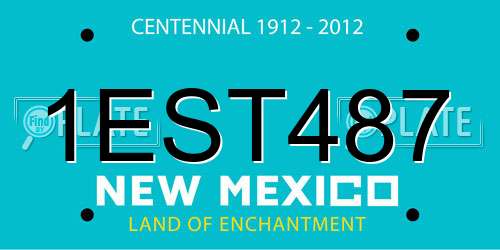 1EST487 New Mexico License Plate