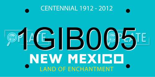1GIB005 New Mexico License Plate
