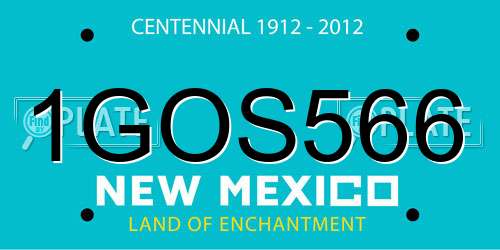 1GOS566 New Mexico License Plate