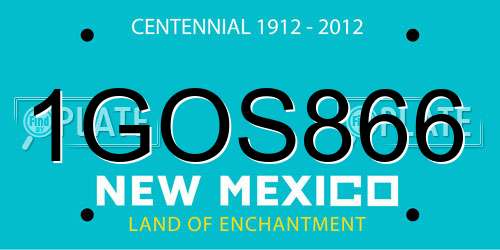 1GOS866 New Mexico License Plate