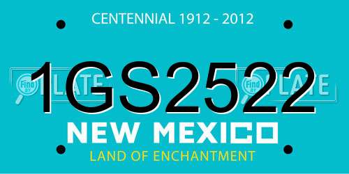 1GS2522 New Mexico License Plate