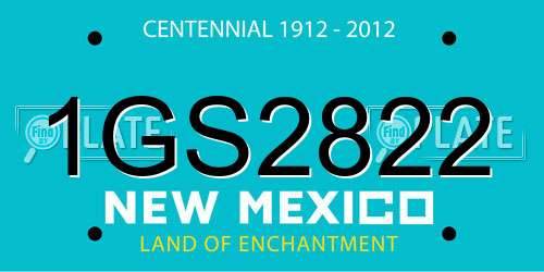 1GS2822 New Mexico License Plate