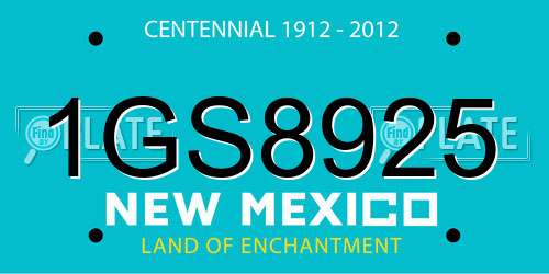 1GS8925 New Mexico License Plate