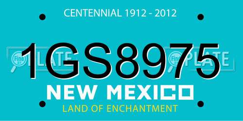 1GS8975 New Mexico License Plate