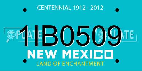 1IB0509 New Mexico License Plate