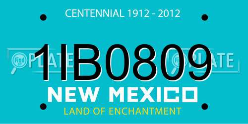1IB0809 New Mexico License Plate