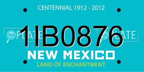 1IB0876 New Mexico License Plate