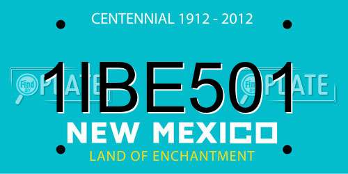 1IBE501 New Mexico License Plate