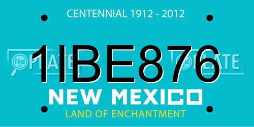 1IBE876 New Mexico License Plate