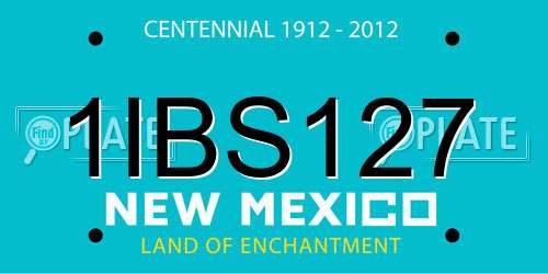 1IBS127 New Mexico License Plate