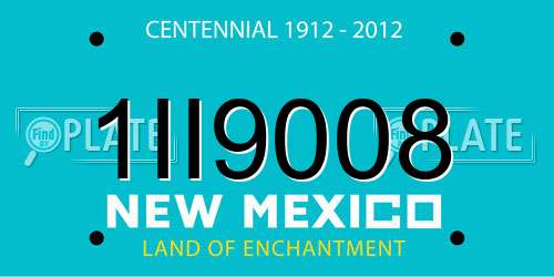 1II9008 New Mexico License Plate