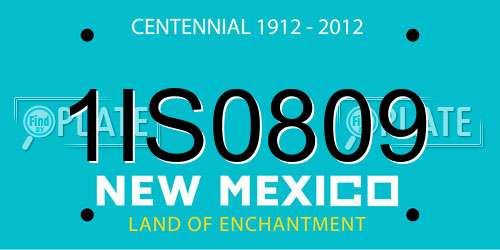 1IS0809 New Mexico License Plate