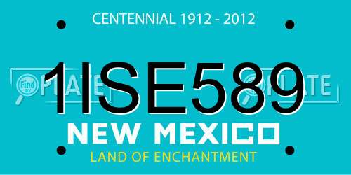 1ISE589 New Mexico License Plate
