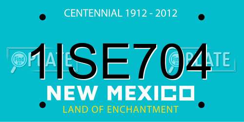 1ISE704 New Mexico License Plate