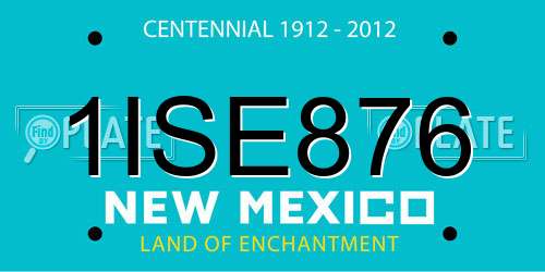 1ISE876 New Mexico License Plate