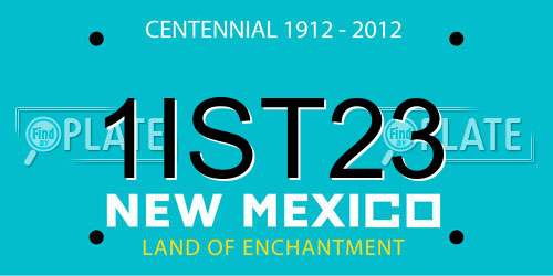 1IST23 New Mexico License Plate