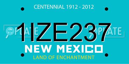 1IZE237 New Mexico License Plate