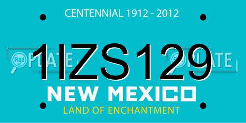 1IZS129 New Mexico License Plate