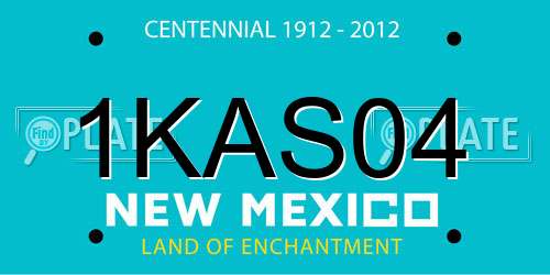 1KAS04 New Mexico License Plate