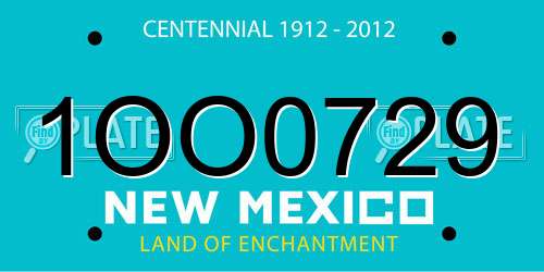 1OO0729 New Mexico License Plate