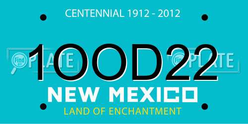 1OOD22 New Mexico License Plate