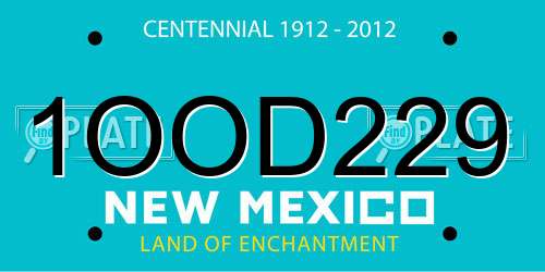 1OOD229 New Mexico License Plate