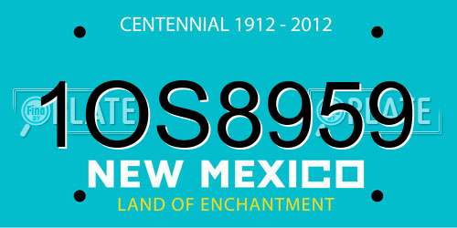 1OS8959 New Mexico License Plate