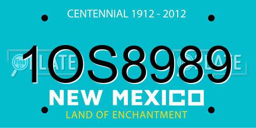 1OS8989 New Mexico License Plate