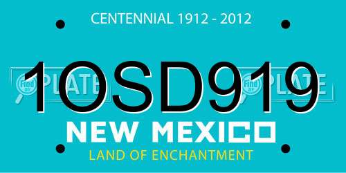 1OSD919 New Mexico License Plate