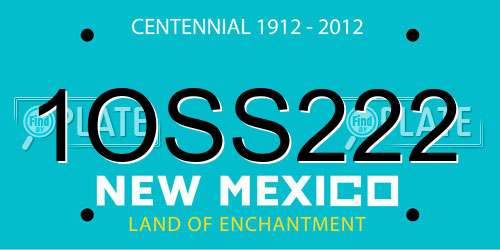 1OSS222 New Mexico License Plate