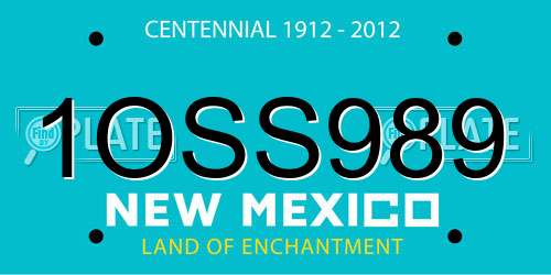 1OSS989 New Mexico License Plate