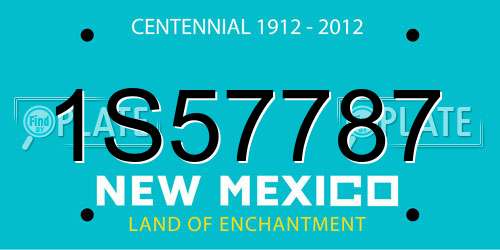 1S57787 New Mexico License Plate
