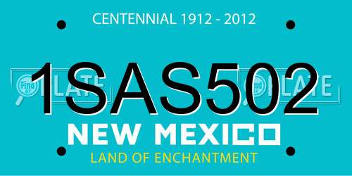 1SAS502 New Mexico License Plate