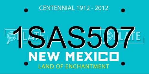 1SAS507 New Mexico License Plate