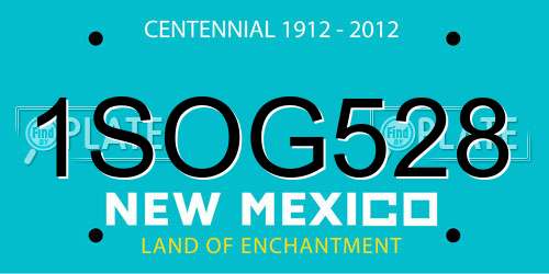 1SOG528 New Mexico License Plate