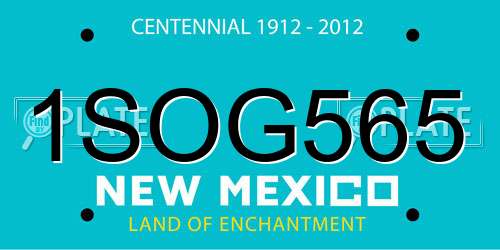 1SOG565 New Mexico License Plate