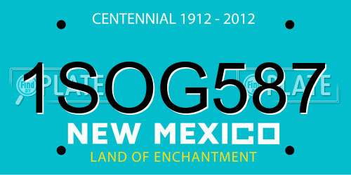 1SOG587 New Mexico License Plate