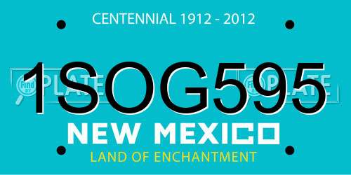 1SOG595 New Mexico License Plate