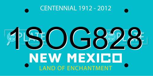 1SOG828 New Mexico License Plate