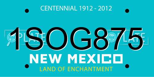 1SOG875 New Mexico License Plate