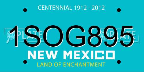 1SOG895 New Mexico License Plate