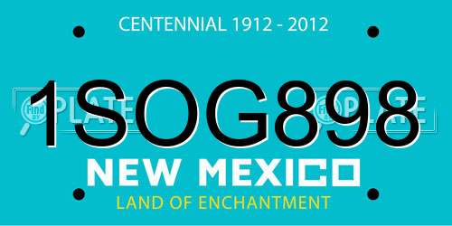1SOG898 New Mexico License Plate
