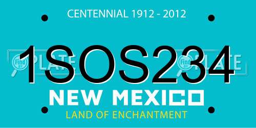 1SOS234 New Mexico License Plate
