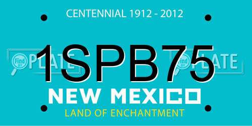 1SPB75 New Mexico License Plate