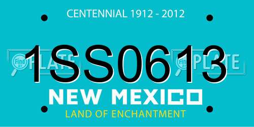 1SS0613 New Mexico License Plate