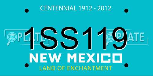 1SS119 New Mexico License Plate