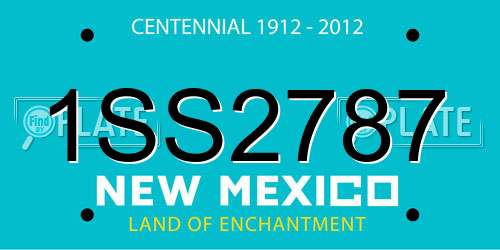 1SS2787 New Mexico License Plate