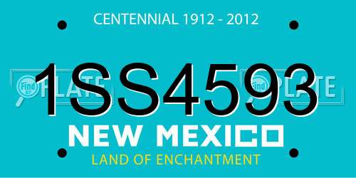 1SS4593 New Mexico License Plate